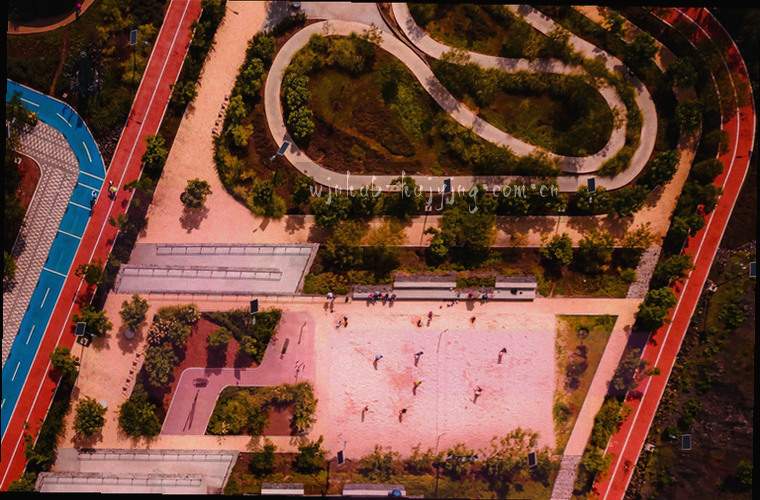 胡杨剪影与横向时间轴结合的几何插画，节点用葡萄紫圆点表示